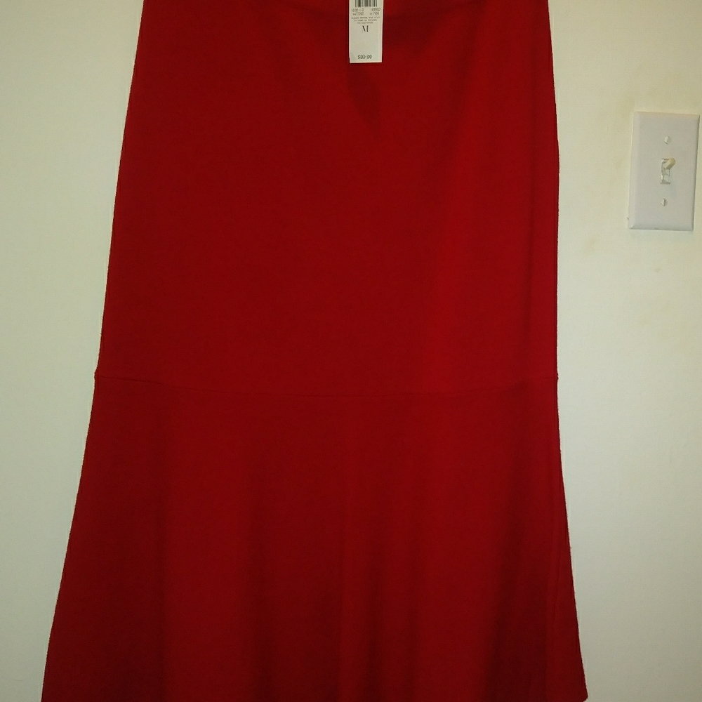 Ann Taylor Skirt